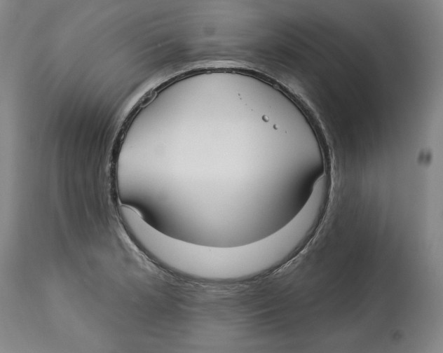 X0000113131181200910021409