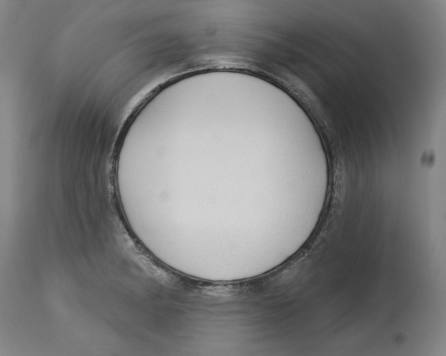 X0000113131182200910021408