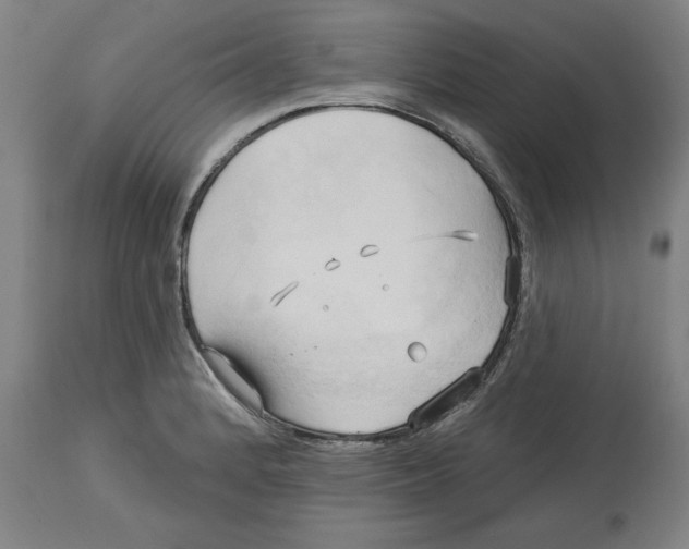 X0000113131184200910021408