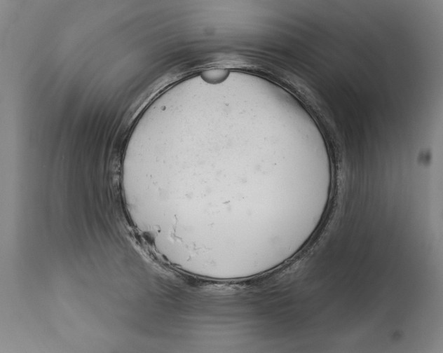 X0000113131185200910021408