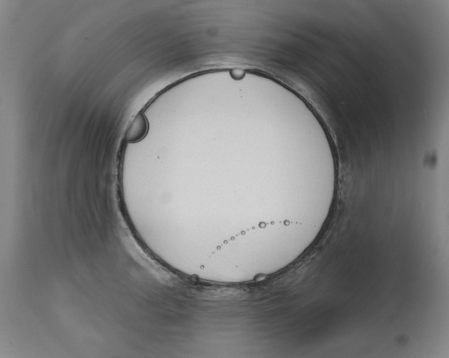 X0000113131187200910021408