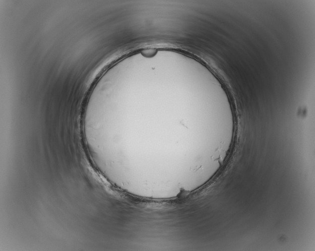 X0000113131189200910021408