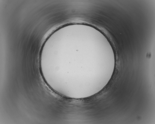 X0000113131191200910021408