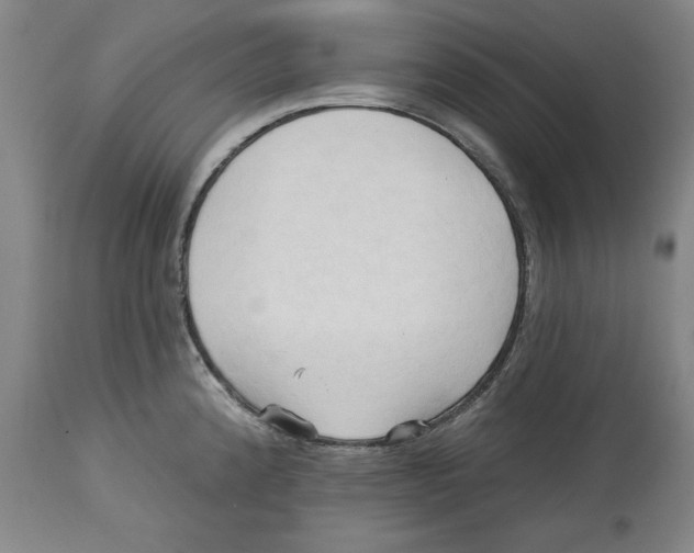 X0000113131192200910021408