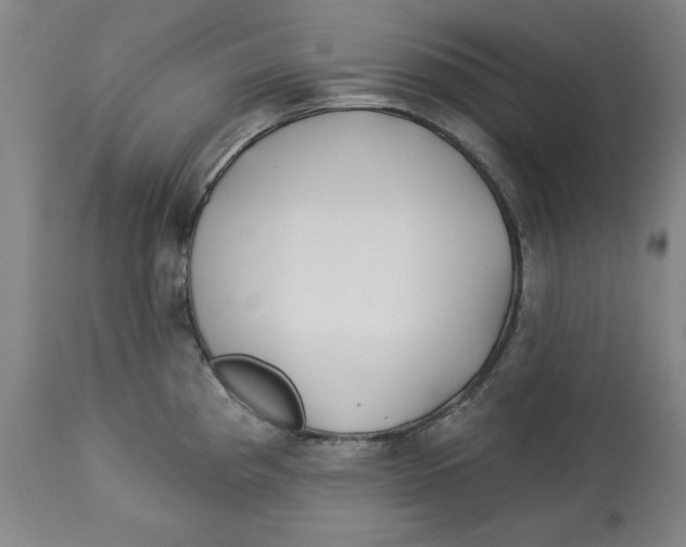 X0000113131193200910021408