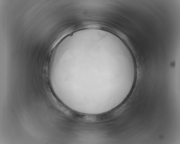 X0000113131194200910021408