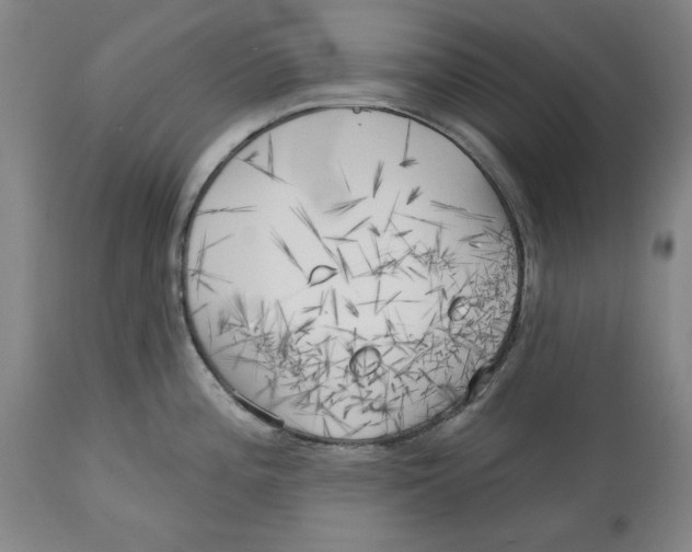 X0000113131196200910021408