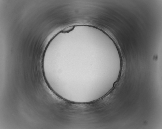 X0000113131197200910021408