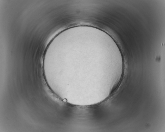 X0000113131198200910021408