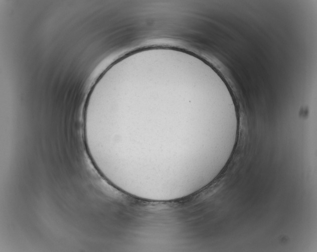 X0000113131199200910021408