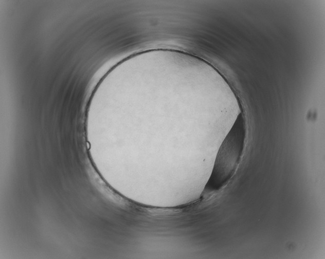 X0000113131200200910021408