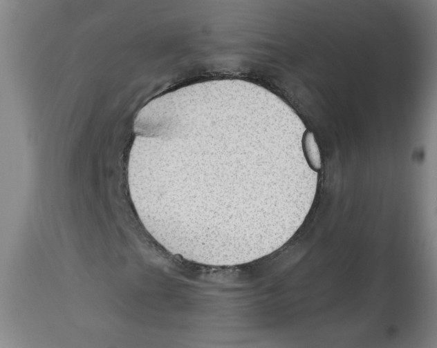 X0000113131201200910021408