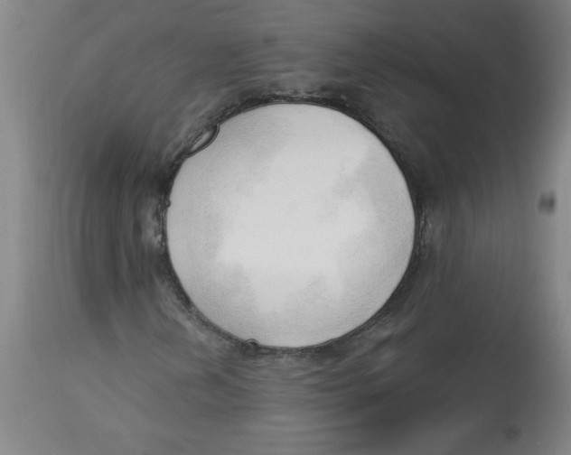 X0000113131202200910021408