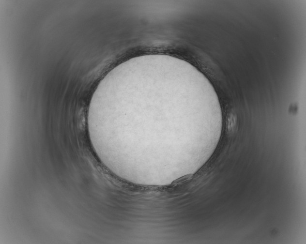 X0000113131204200910021408