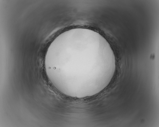 X0000113131206200910021408