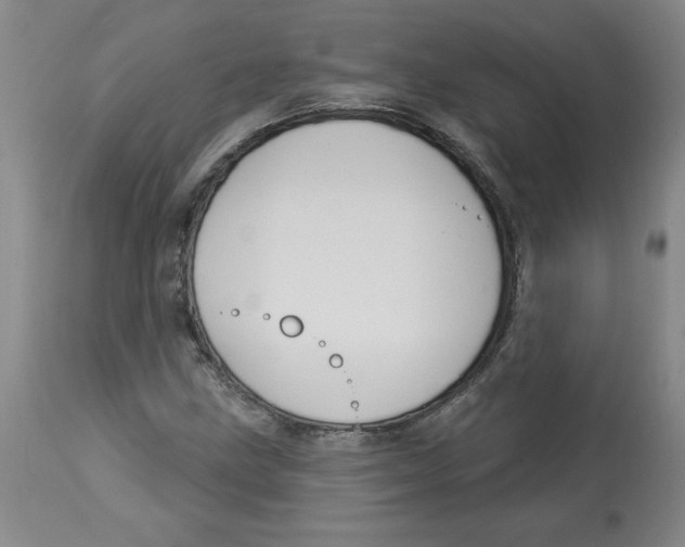 X0000113131211200910021408