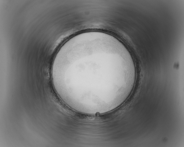 X0000113131218200910021408