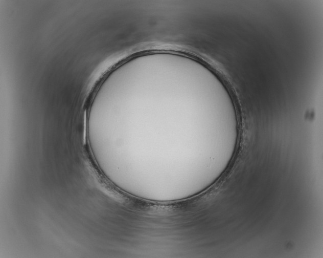 X0000113131223200910021408