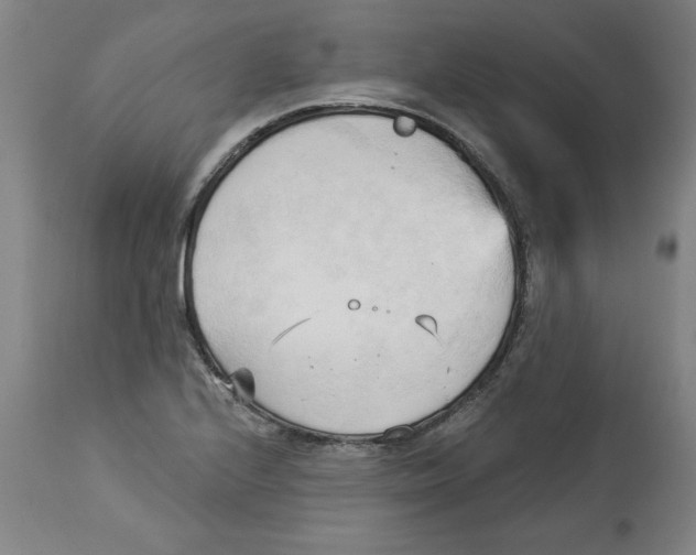 X0000113131224200910021408