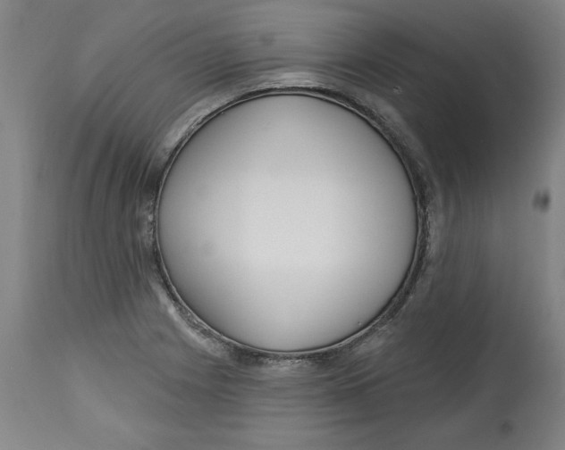 X0000113131225200910021408