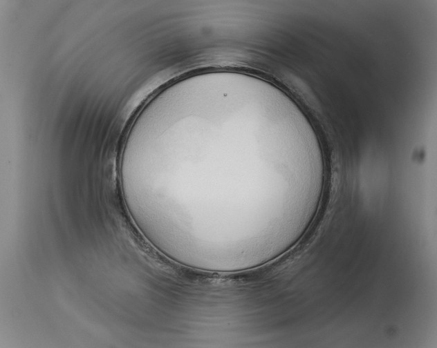 X0000113131226200910021408