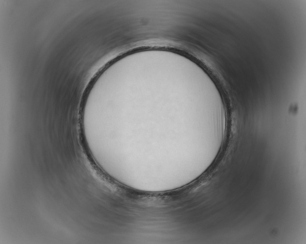 X0000113131229200910021408