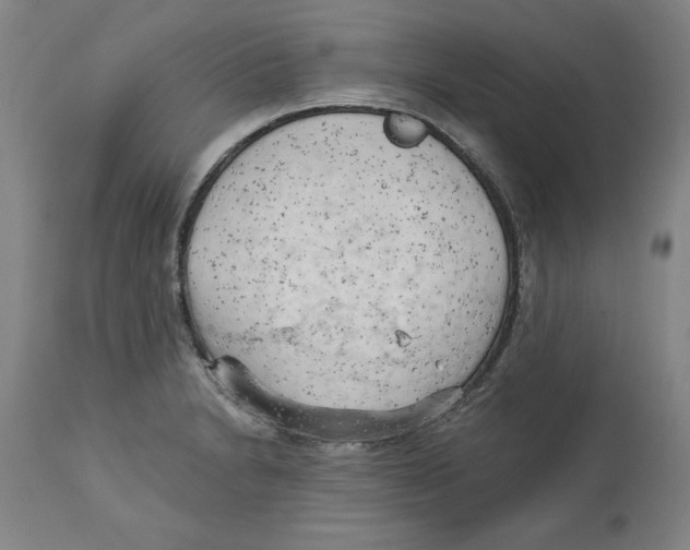 X0000113131230200910021408