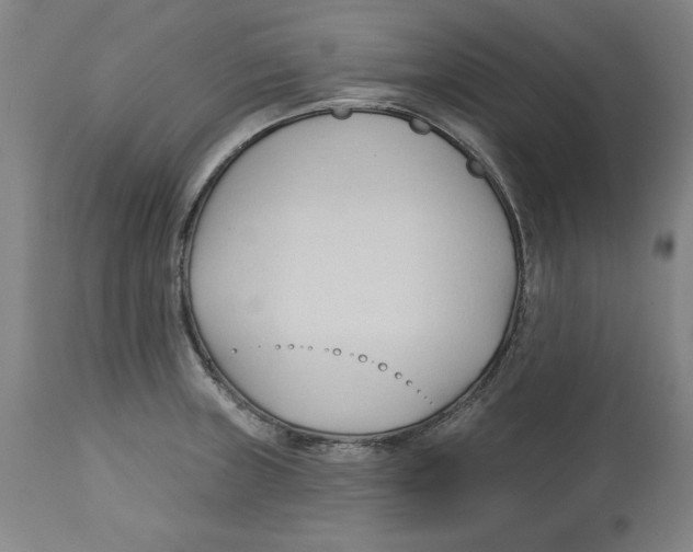 X0000113131235200910021408