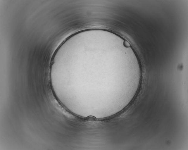 X0000113131236200910021408