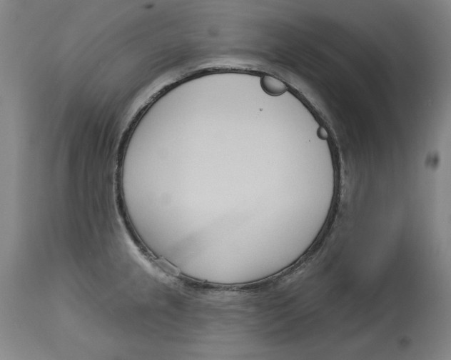 X0000113131237200910021408