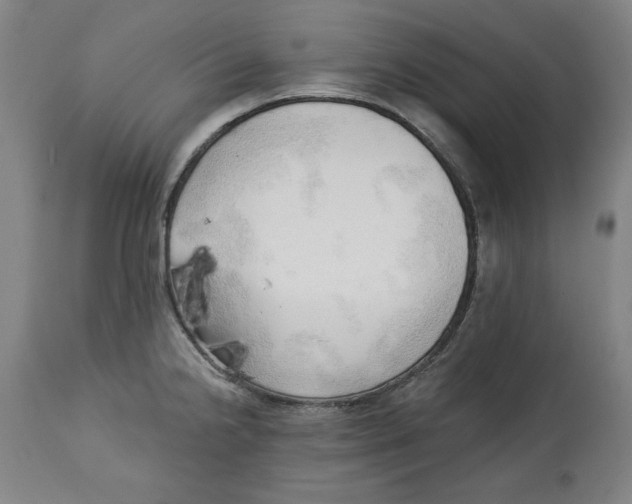 X0000113131238200910021408