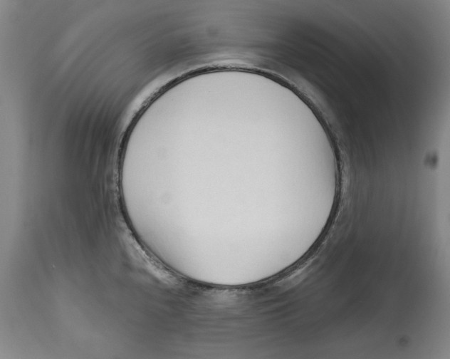 X0000113131240200910021408