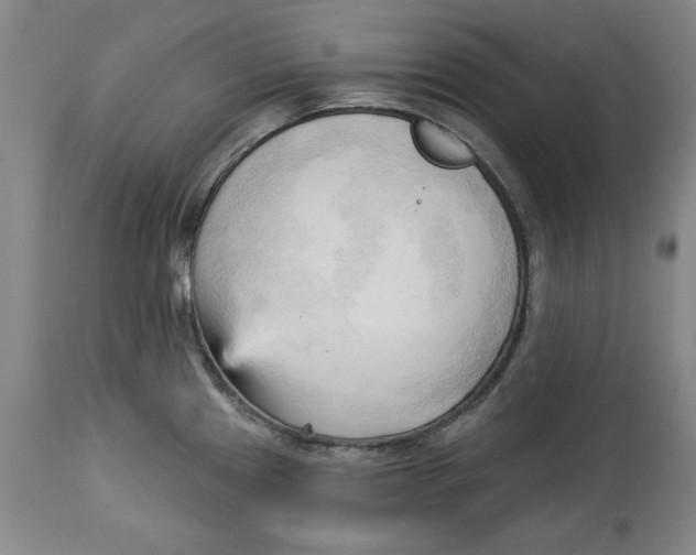 X0000113131241200910021408