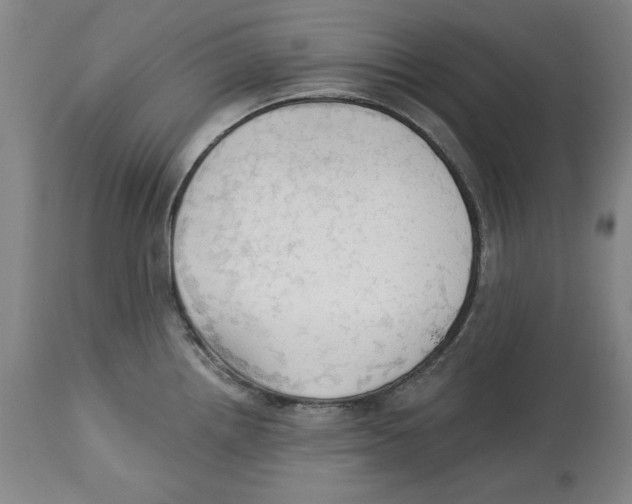 X0000113131242200910021408