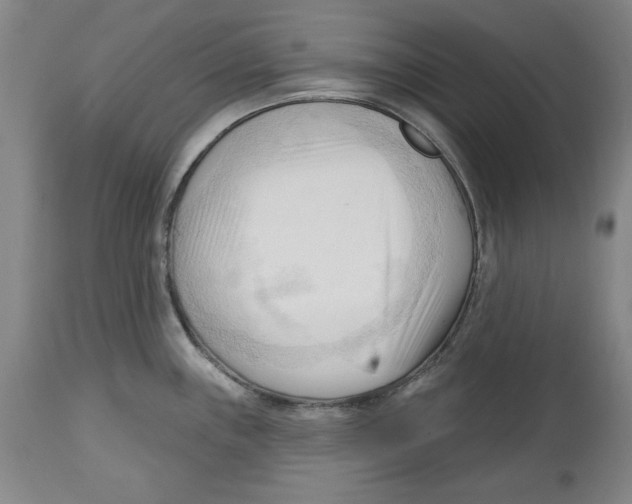 X0000113131243200910021408