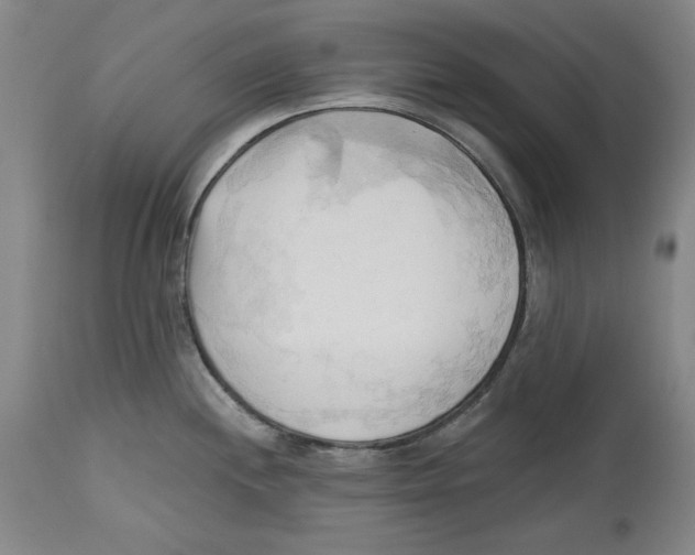 X0000113131244200910021408