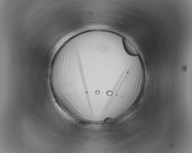 X0000113131245200910021408