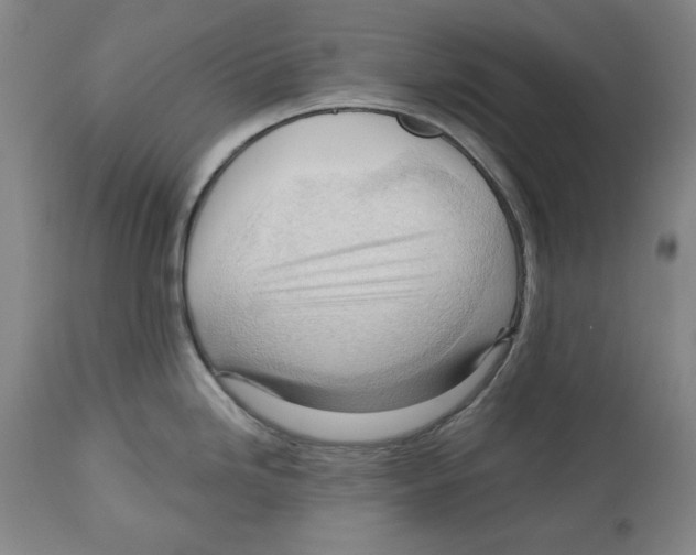 X0000113131246200910021408