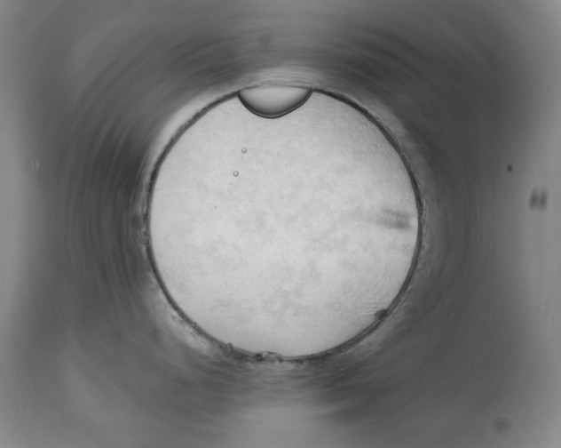 X0000113131248200910021408