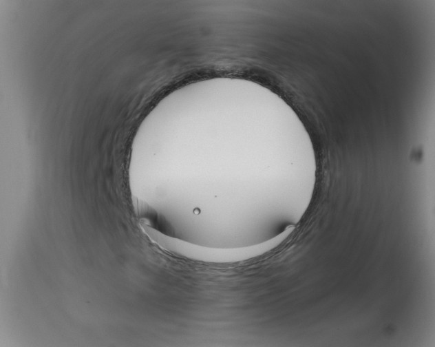 X0000113131249200910021408