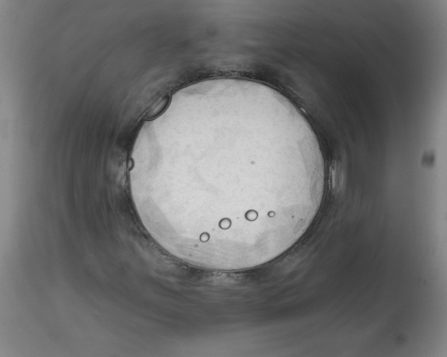 X0000113131251200910021408