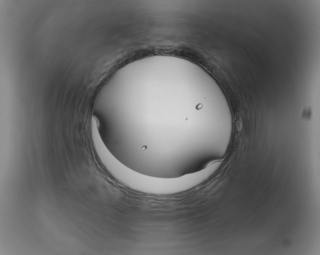 X0000113131252200910021408