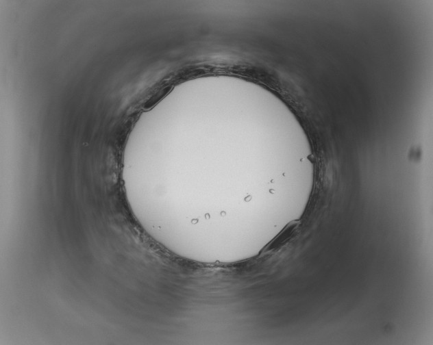 X0000113131253200910021408