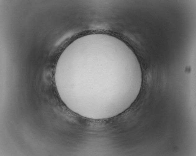 X0000113131254200910021407