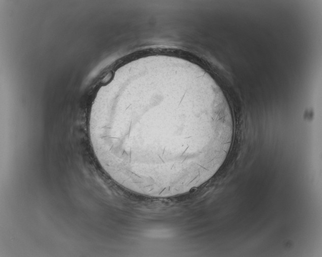 X0000113131255200910021407