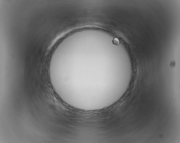 X0000113131256200910021407