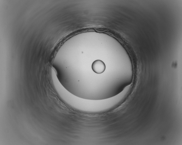 X0000113131257200910021407