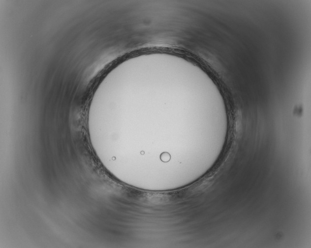 X0000113131258200910021407