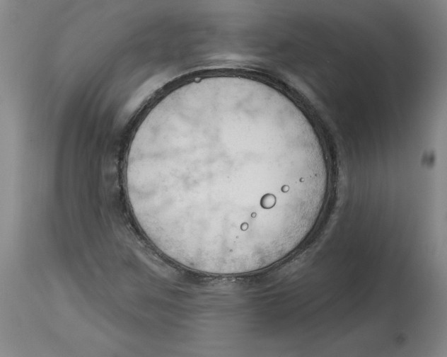 X0000113131259200910021407