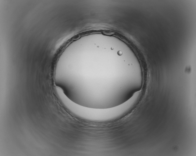 X0000113131261200910021407